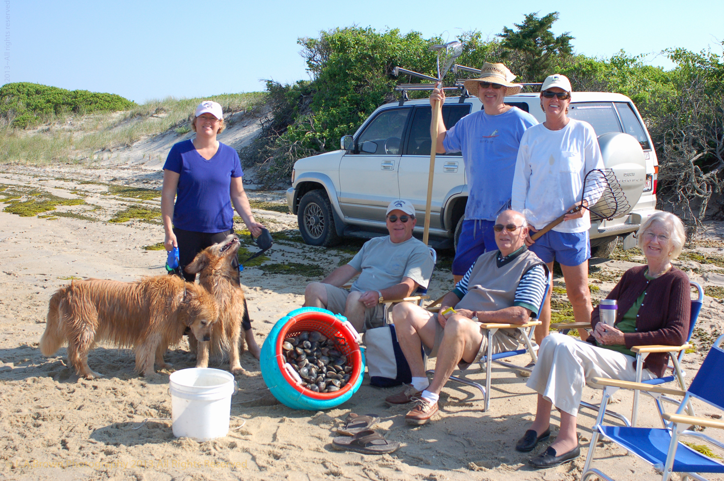 Beach, Clamming, Dog, Lisa Brown