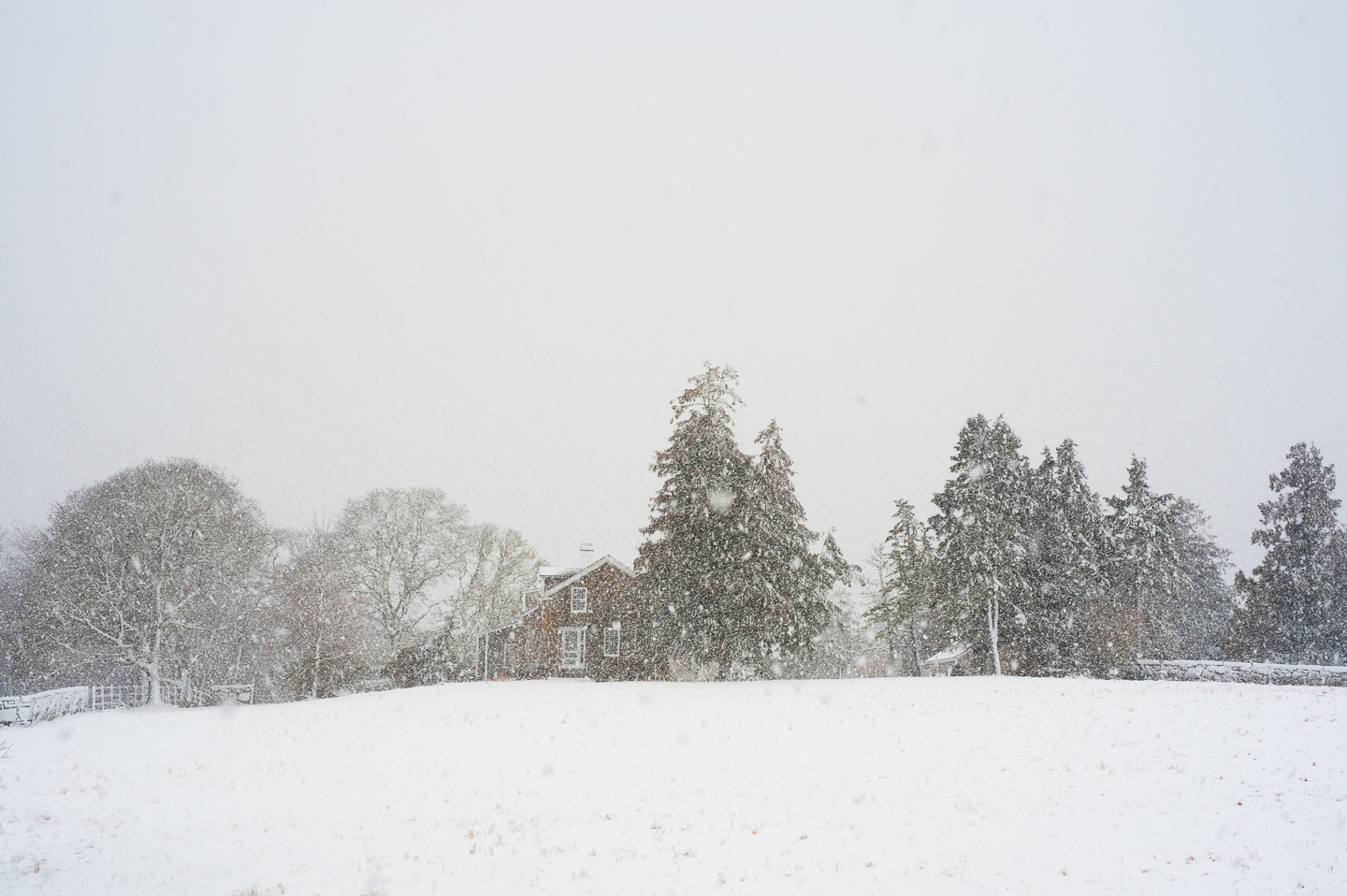 Chilmark, Winter, Snow, Alison Shaw